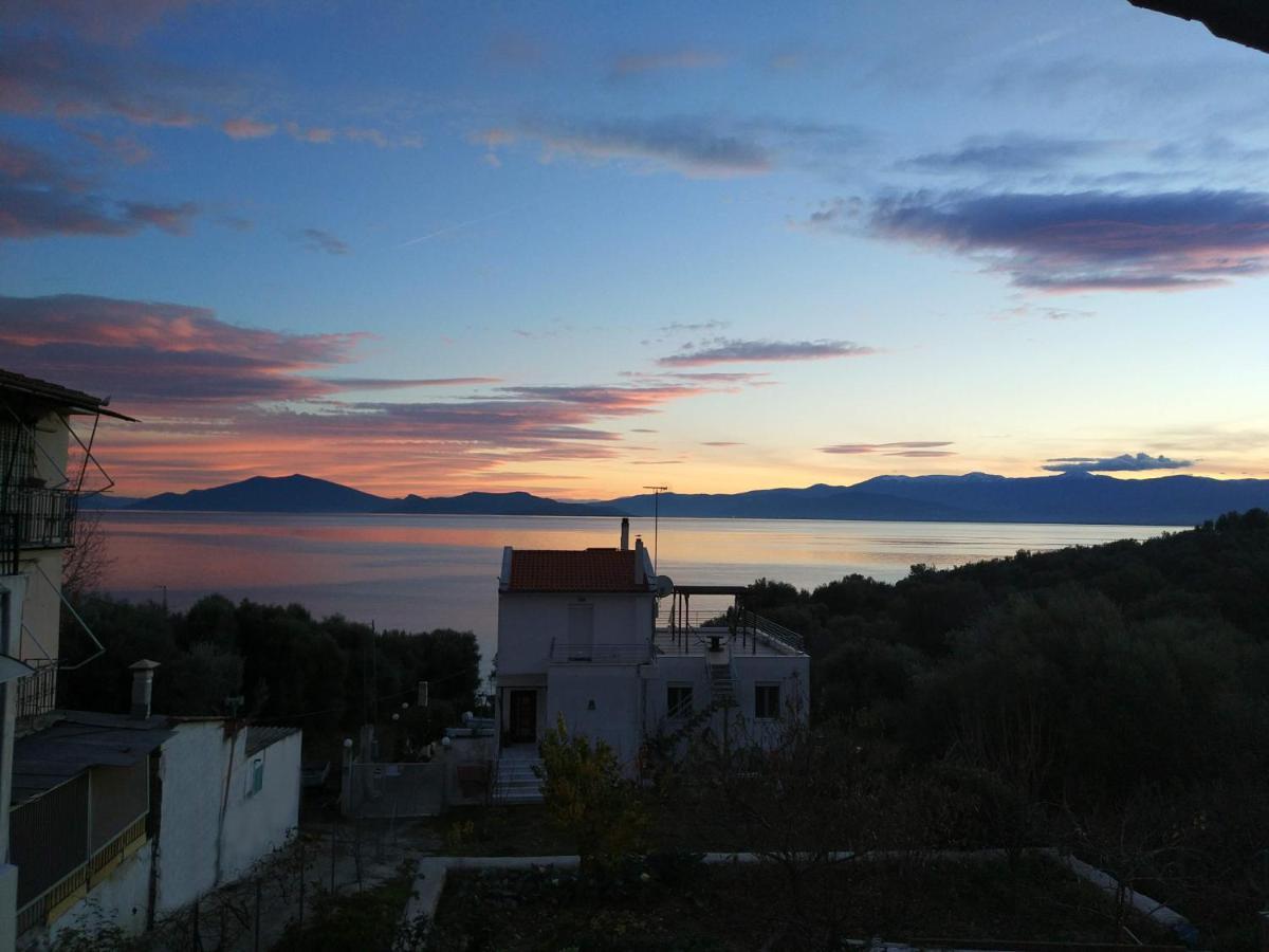 Seaside Boutique Villa Волос Екстер'єр фото