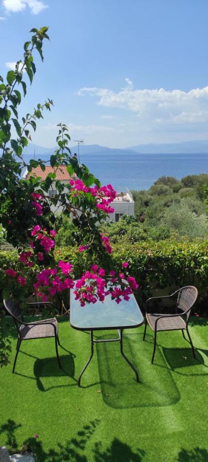 Seaside Boutique Villa Волос Екстер'єр фото